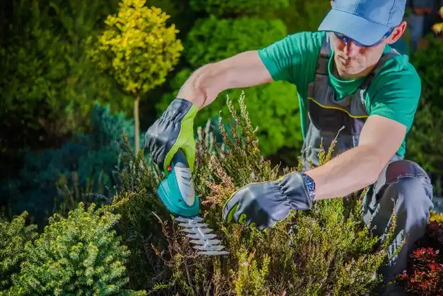 landscaping services Harrison